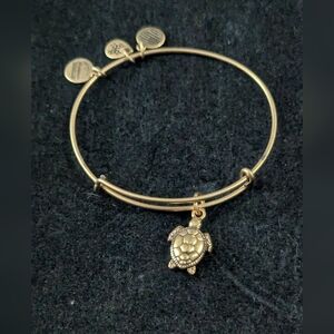 Gold Turtle Charm Expandable Bracelet